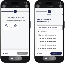 Servicio Selección